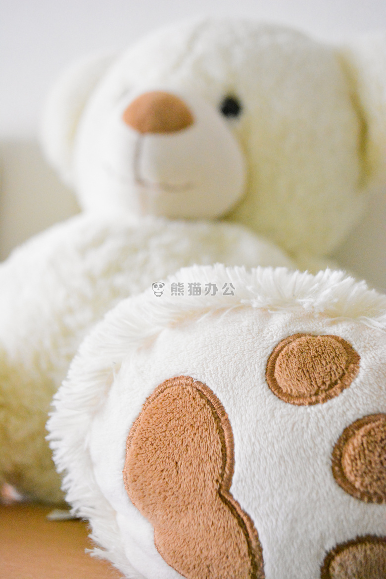 熊 特写 拥抱