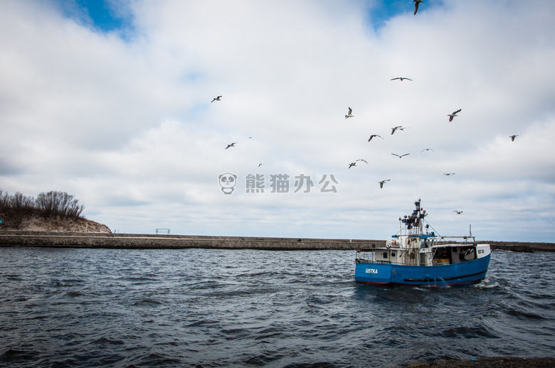 海湾 鸟 船