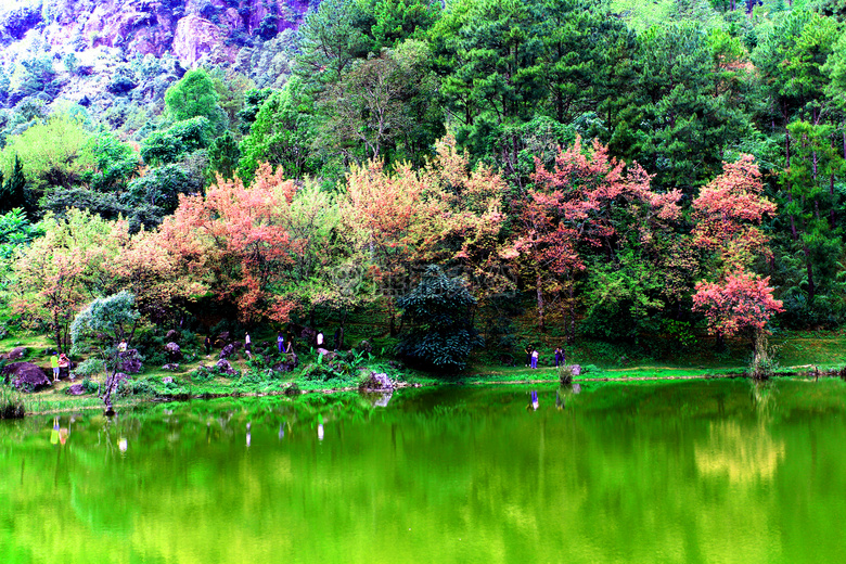 亚洲的 背景 美丽的