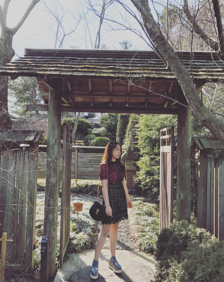 日光 时尚 花园