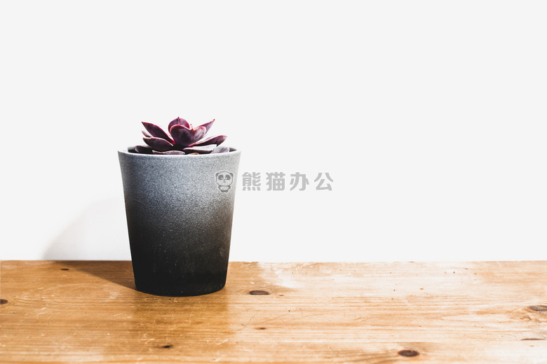 植物学的 明亮的 书桌