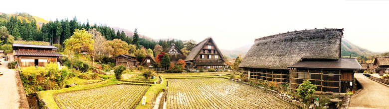 建筑学 平房 日光 