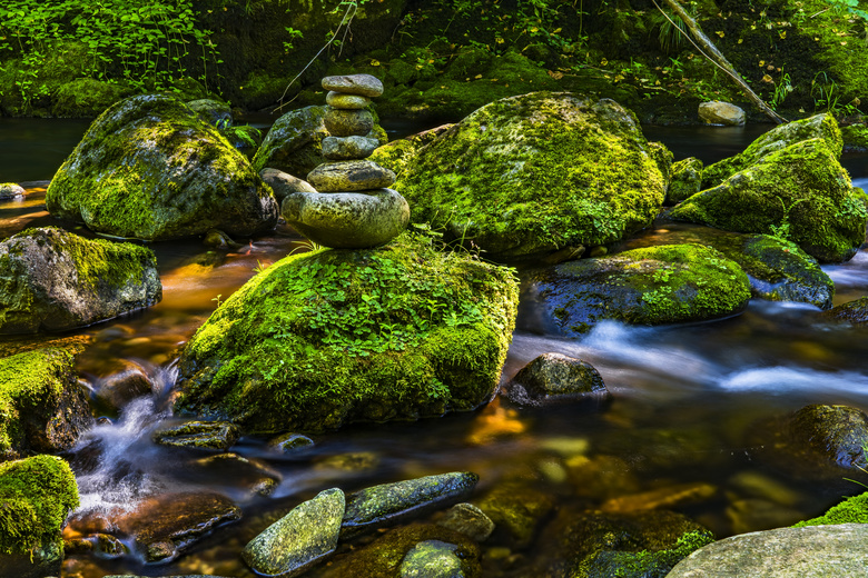 小溪 流 苔藓 