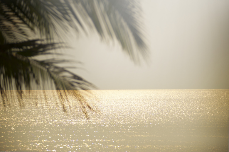 地平线 海洋 在户外 