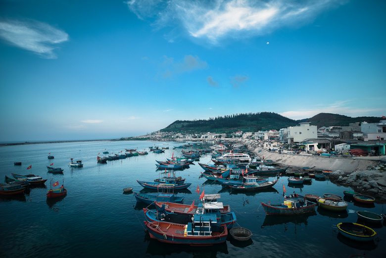 海湾 海滩 船 