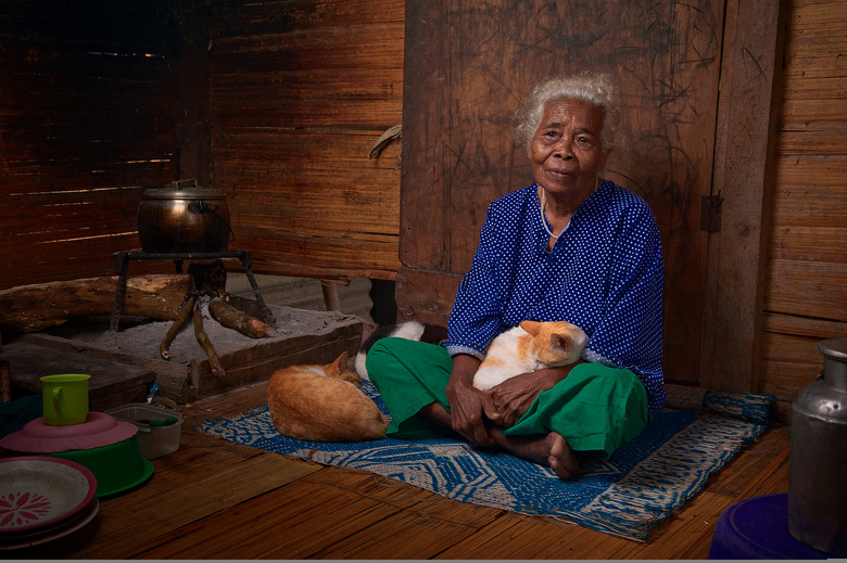 动物 猫 老年人 