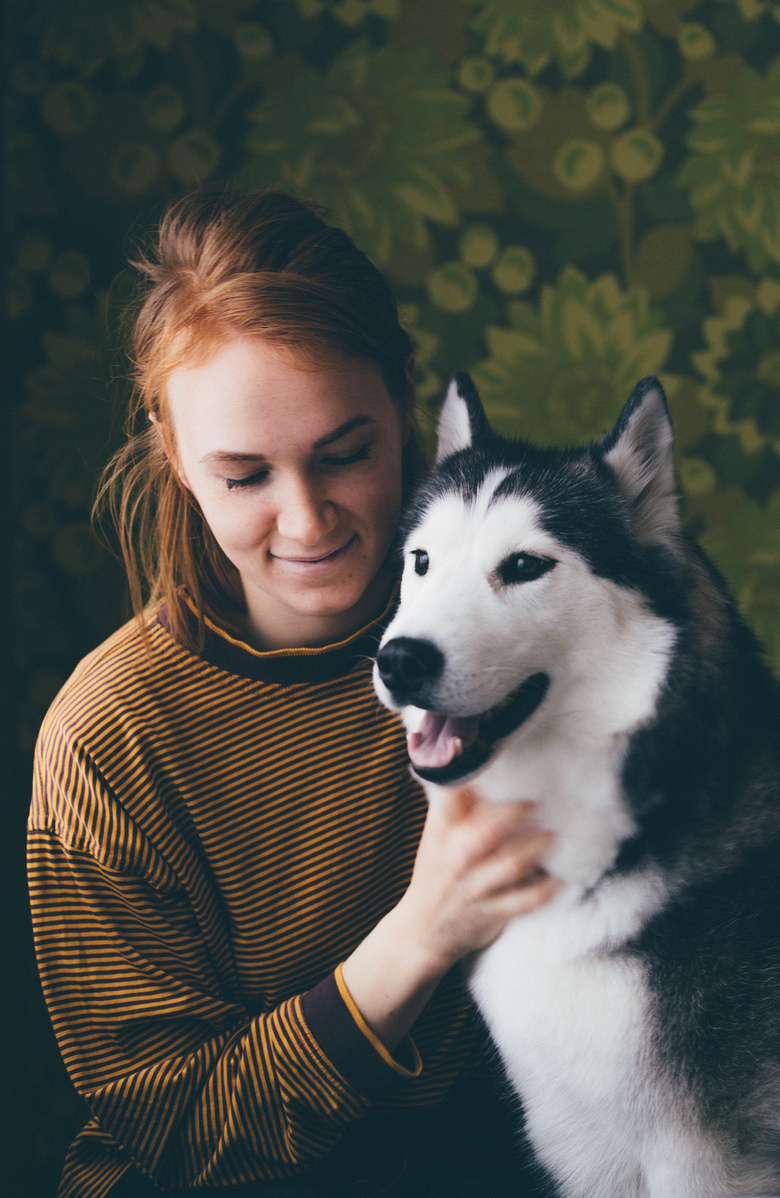 可爱极了 动物 犬 