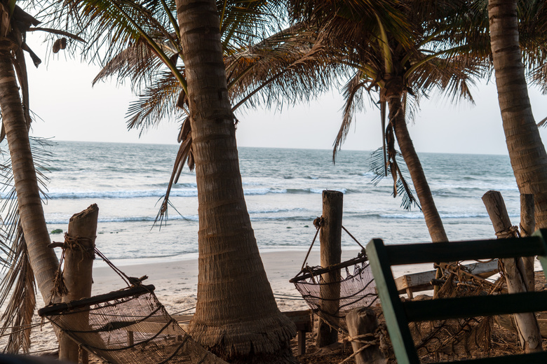 海滩 椅子 椰子 