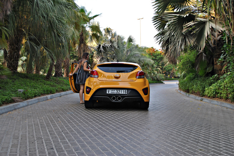 汽车 鹅卵石 轿跑车 