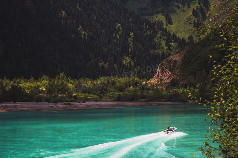 海湾 海滩 海岸 