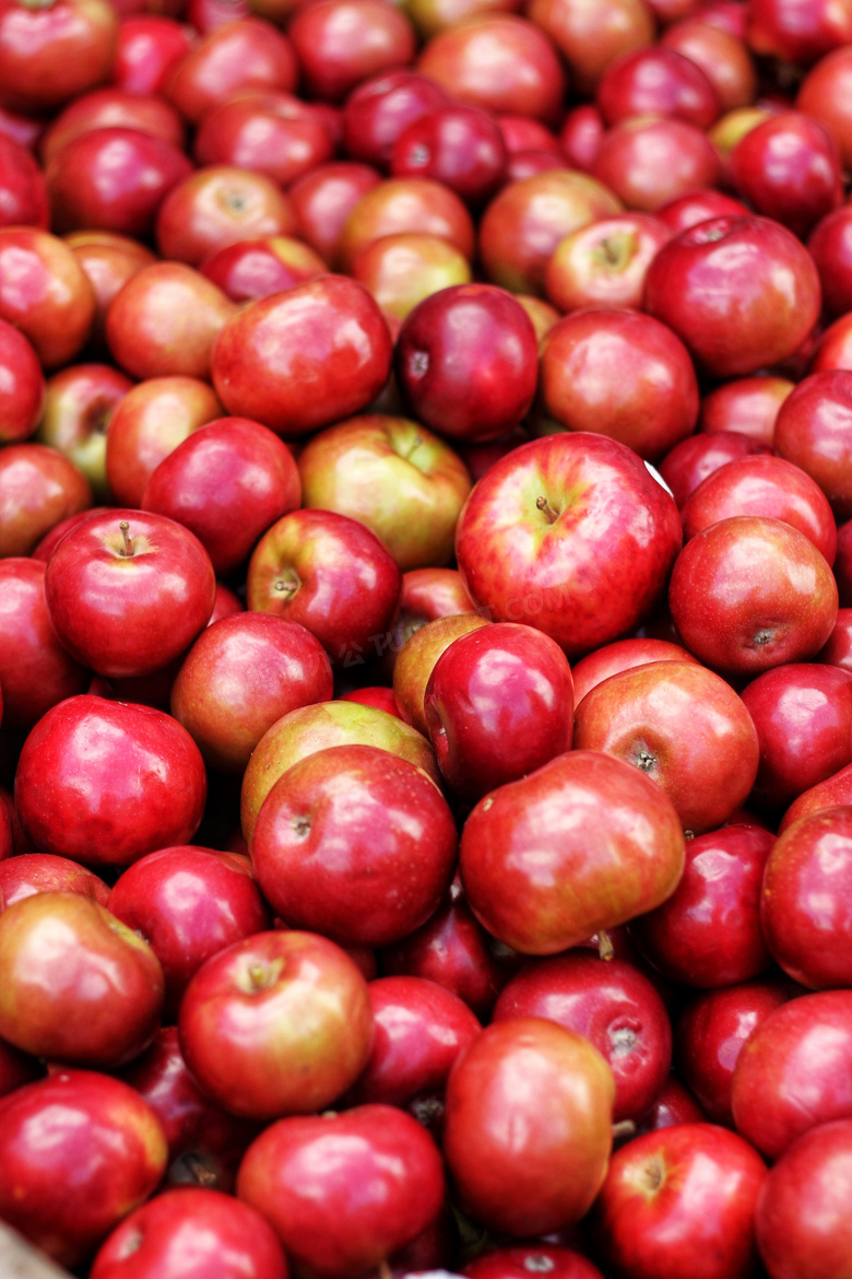 丰度 农业 苹果 