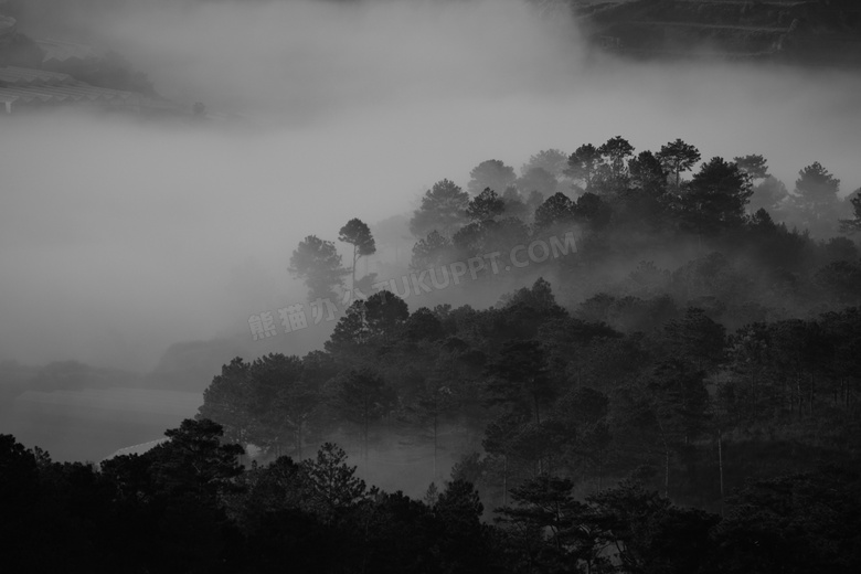 黑色 和 白色 