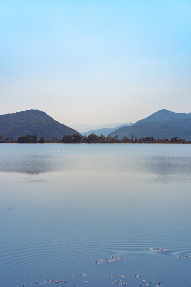 平静的 水域 日光 