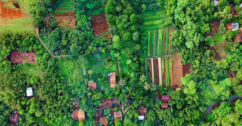 空中 摄影 农业 