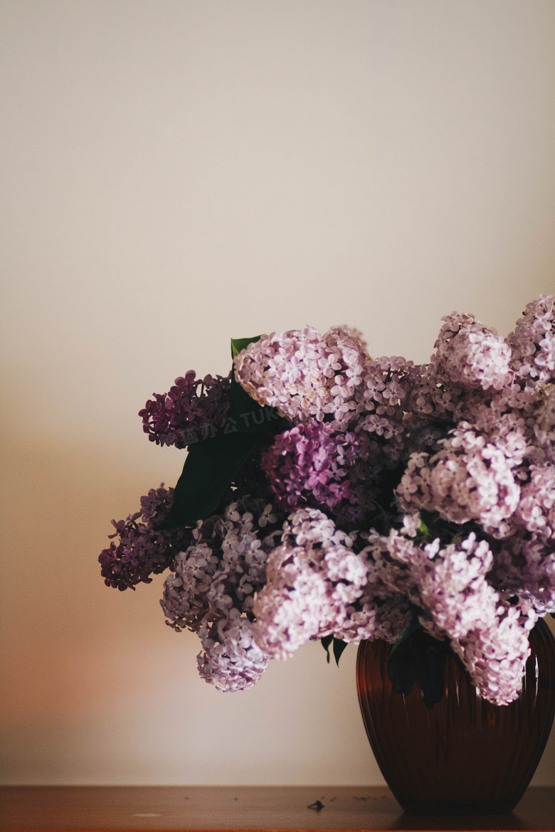 美丽的 花束 精致的 