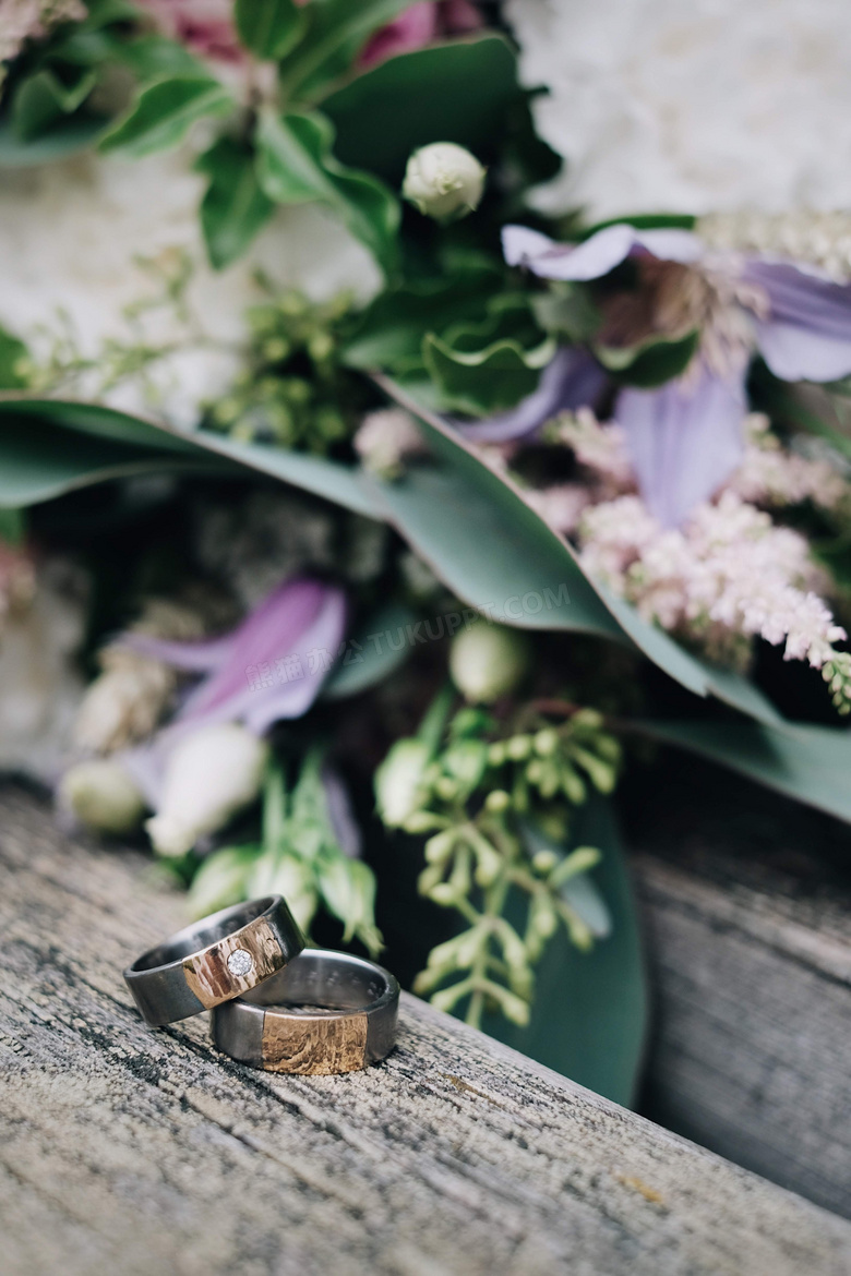 美丽的 花 开花 