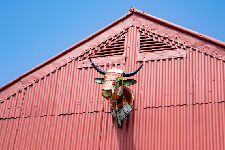 动物 头 建筑学 