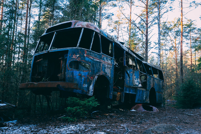 被遗弃的公共汽车森林