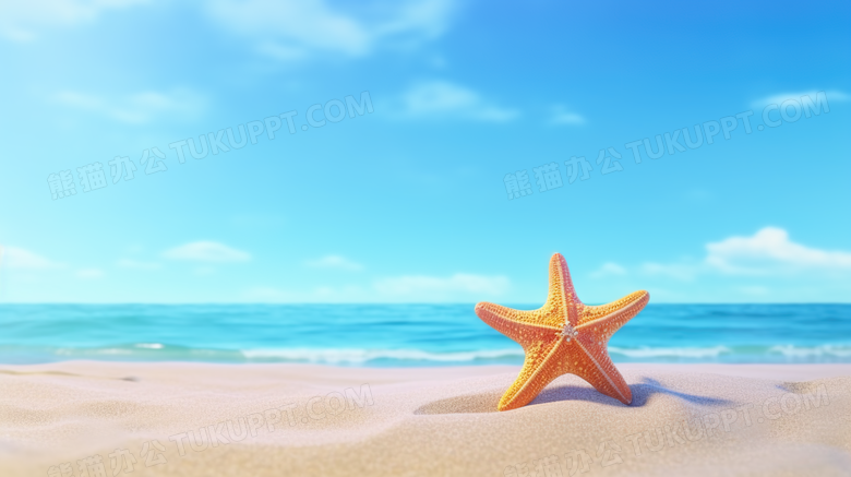 夏季沙滩海星唯美摄影