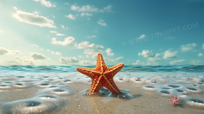 夏季沙滩海星唯美摄影