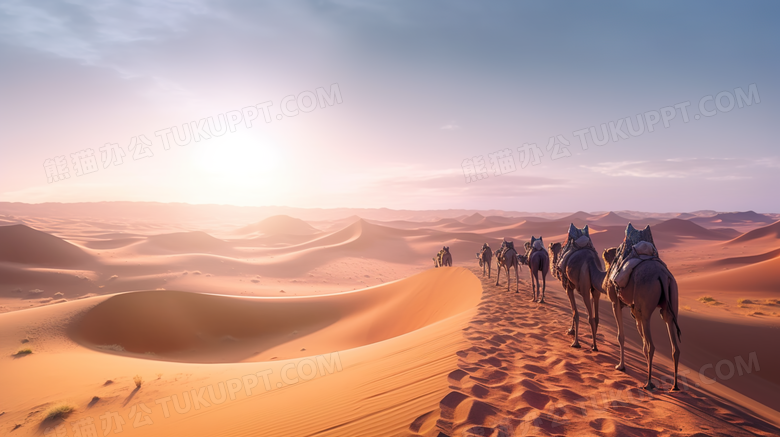 沙漠骆驼自然风景