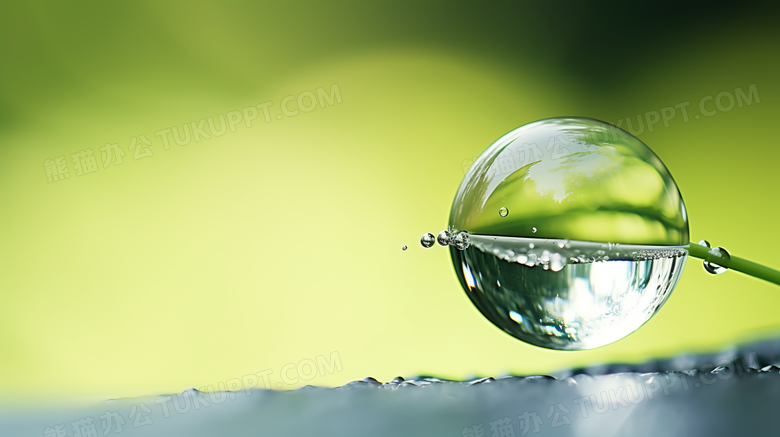 绿色树叶上的透明水滴清新摄影图