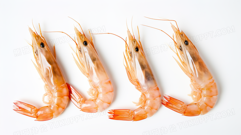 素底背景红色海虾海鲜食物摄影图