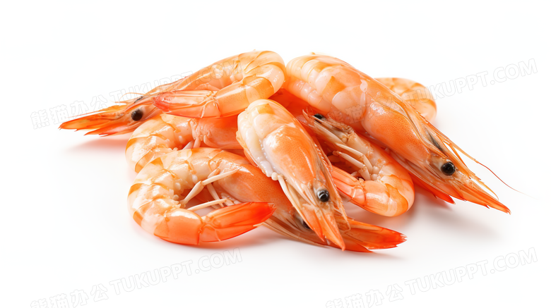 素底背景红色海虾海鲜食物摄影图
