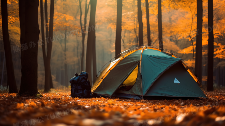 秋季在树林金色落叶上搭帐篷露营摄影图