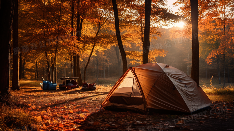 秋天傍晚树林金色落叶上搭帐篷露营美景摄影图