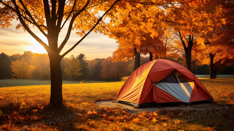 秋天傍晚树林金色落叶上搭帐篷露营美景摄影图