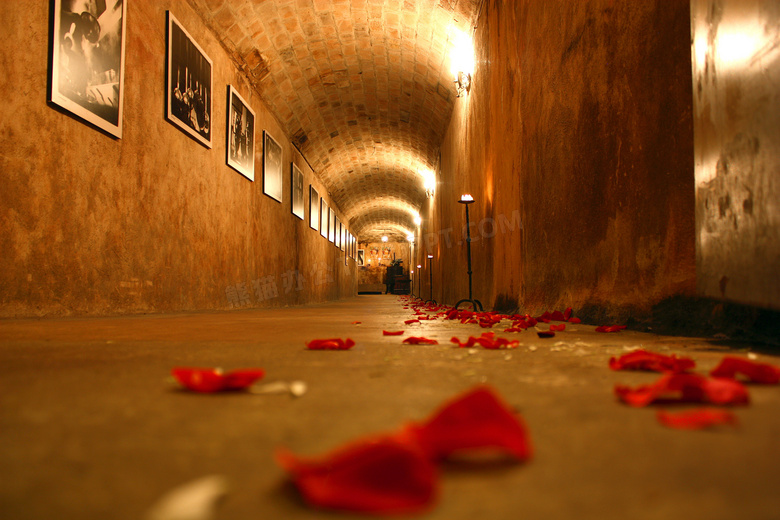 走廊玫瑰花瓣图片