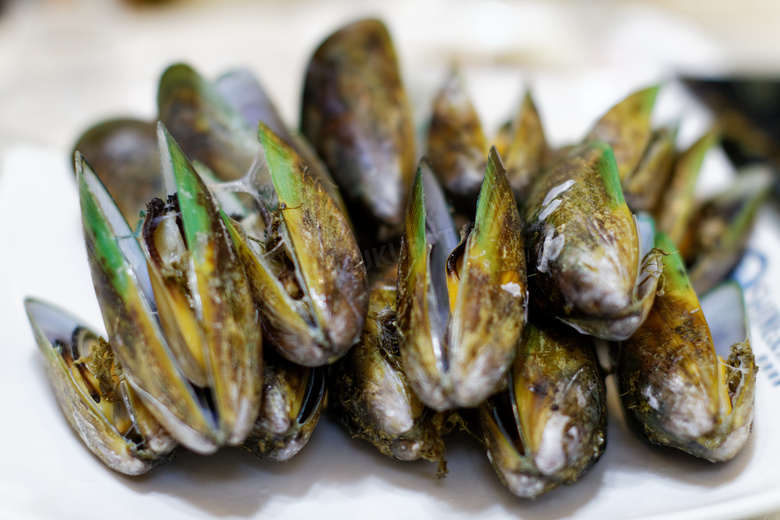 本作品内容为蛤蛎图片,     