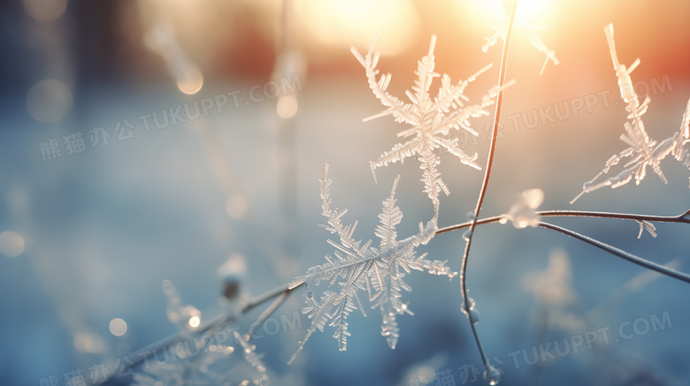 阳光下的雪地冰雪结晶微距特写摄影图