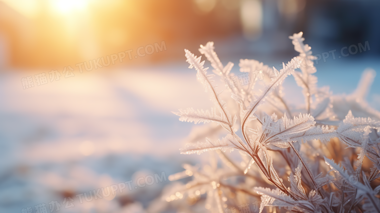 阳光下的雪地冰雪结晶微距特写摄影图