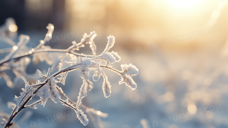 阳光下的雪地冰雪结晶微距特写摄影图