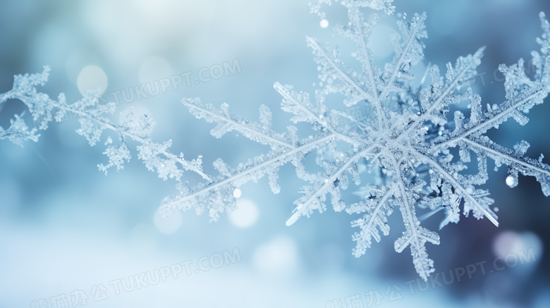 微距镜头下的的透明雪花结晶摄影图