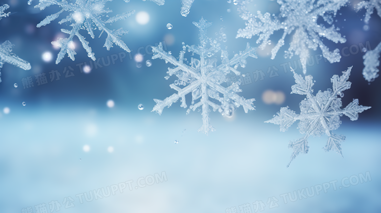 微距镜头下的的透明雪花结晶摄影图