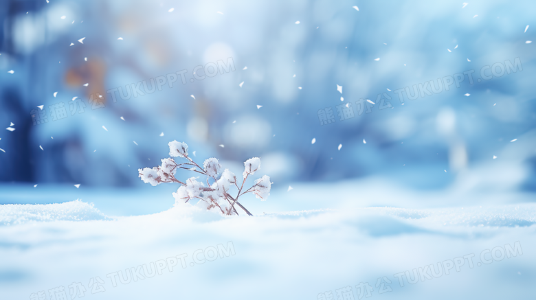 雪地里树枝上雪花结晶特写摄影图
