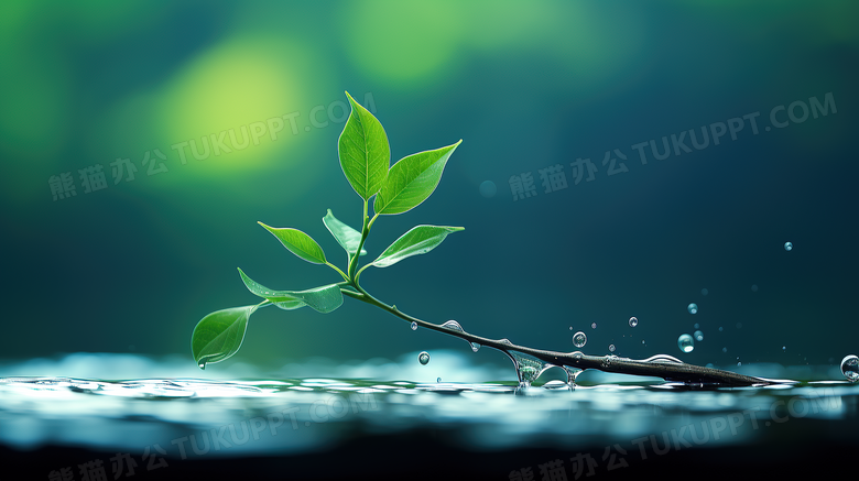 春季雨后的小草摄影图