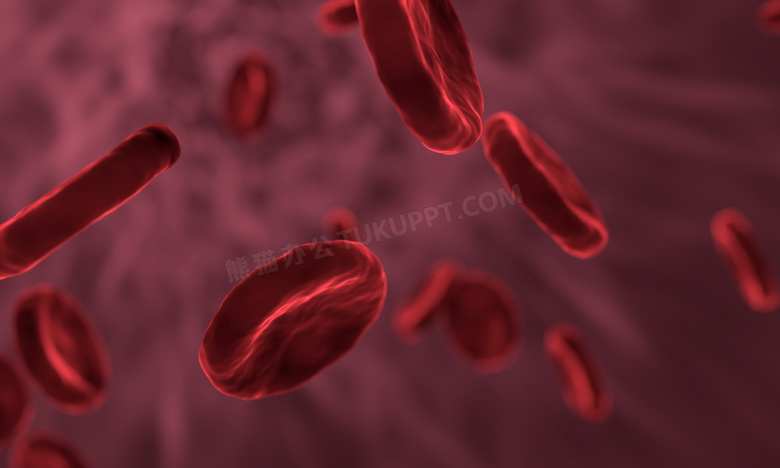 显微镜下的红细胞图片