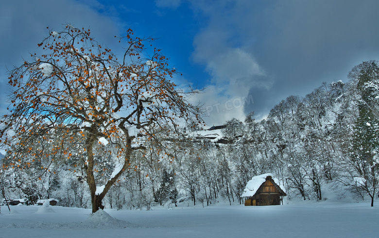 冬季山川雪景图片