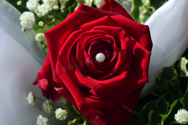 婚礼浪漫红玫瑰图片