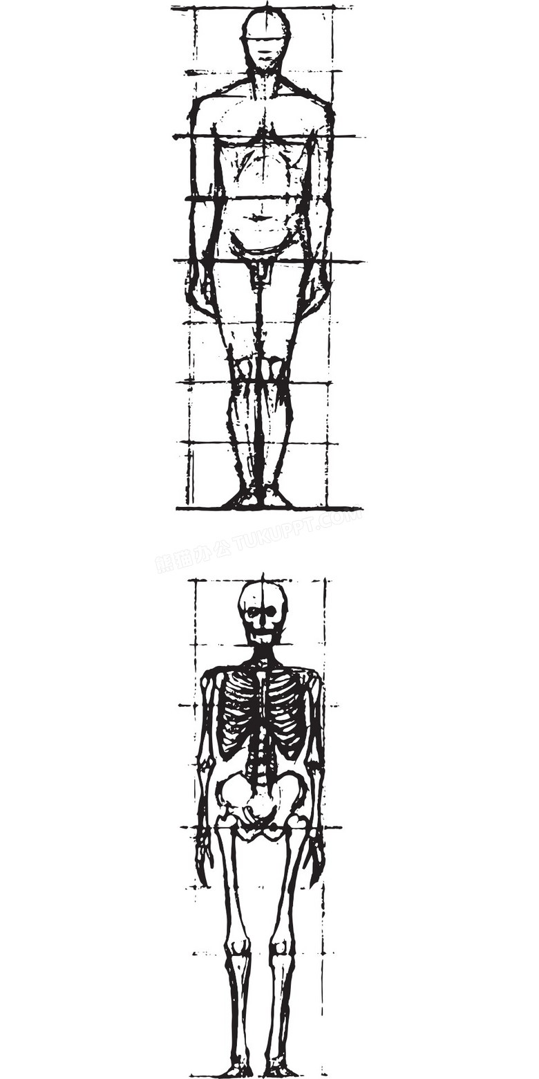 人体轮廓医学图片