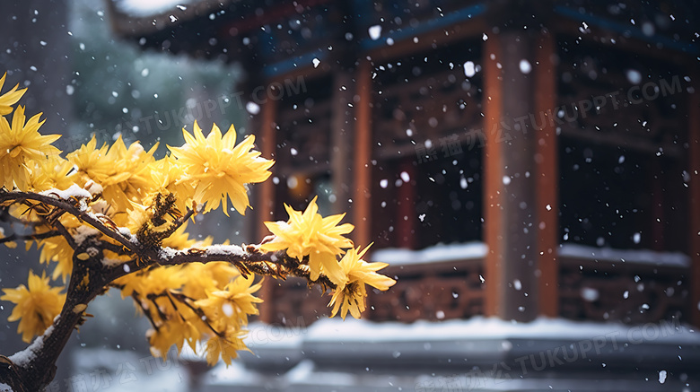 中式建筑冬季飘雪图片