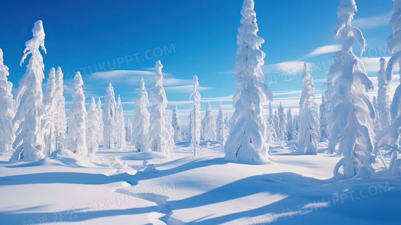 冬天森林雪地风景图片