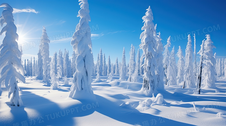 冬天森林雪地风景图片