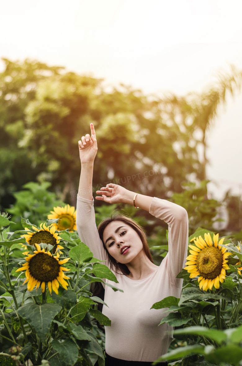 向日葵花海美女写真