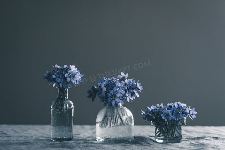 水培蓝色花朵图片