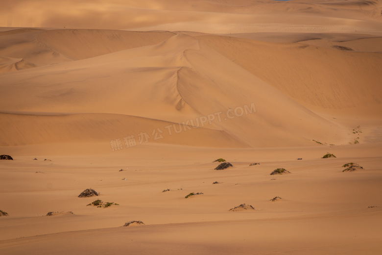 沙漠戈壁风景图片